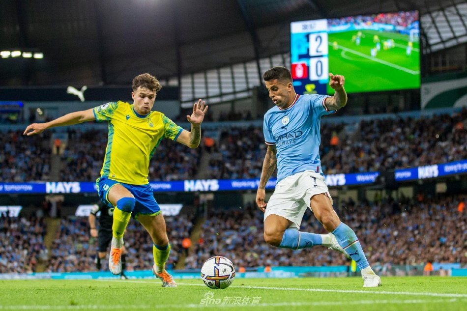 无论是从技 无论是从技